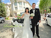 Самый семейный свадебный кортеж в Волгограде и Волжском - ДАНКО-КОРТЕЖ!!! Лучшие авто и шикарные свадебные украшения в Вашем стиле!