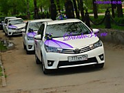 Самый популярный свадебный кортеж в Волгограде - кортеж Toyota Corolla (Тойота Королла) и шикарные украшения в фиолетовом, сиреневом, пурпурном, лиловом...