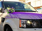 Профессиональный декор для свадебных кортежей в фиолетовом цвете для Вас! Подготовим необходимое количество комплектов украшений на любое количество свадебных машин