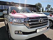 Престижные свадебные автомобили и яркие украшения для свадебных машин от компании Данко-кортеж Волгоград!