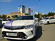 Данко-кортеж Волгоград - новенькие свадебные машины и эффектные украшения для автомобилей в Вашем цвете!