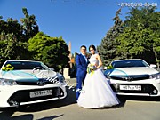 Данко-кортеж Волгоград - сегодня в мятно - желтых тонах. Отличное оформление на свадебные авто, отличное качество!