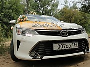 Стильный свадебный кортеж - новые, современные автомобили и шикарные украшения для свадебных машин в любой район Волгоград! 