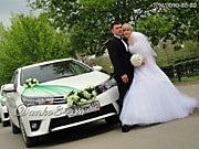 Данко-кортеж Волгоград и самый большой выбор украшений на свадебные авто в городе! 