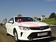 Стильный автокортеж в любой район Волгограда. Машины и украшения на свадебные авто в Вашем цвете.