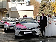 Эффектная свадебная прогулка с ДАНКО-КОРТЕЖЕМ. Автомобили и яркие украшения для машин в малиновом цвете.