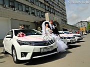 Заказ машин и украшений для свадебных авто от компании ДАНКО-Кортеж ВОЛГОГРАД!!!